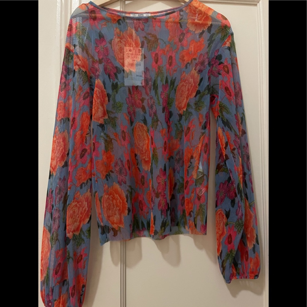 Sheer Zara blouse